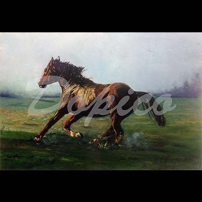 
                                    Técnica: Óleo.</br>
Referencia: CUADROS0009