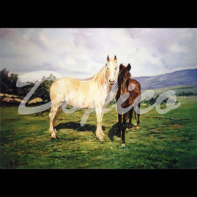 
                                    
											Dimensiones: 55 x 38 cm.</br>
                                    Técnica: Óleo.</br>
Referencia: CUADROS0011