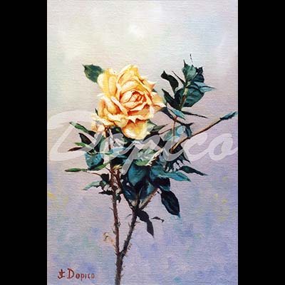 
                                    
											Dimensiones: 24 x 34 cm.</br>
                                    Técnica: Óleo.</br>
Referencia: CUADROS0017