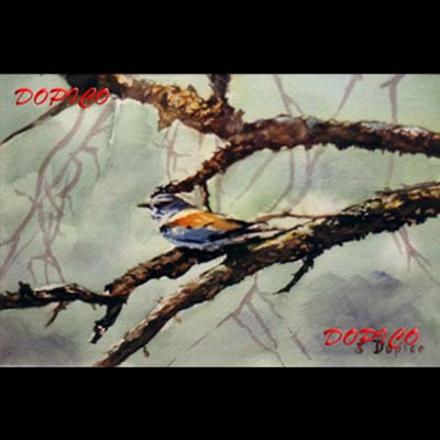 
                                    
											Dimensiones: 30 x 20 cm.</br>
                                    Técnica: Acuarela.</br>
Referencia: CUADROS0140