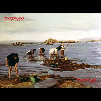 
                                    Técnica: Óleo.</br>
Referencia: CUADROS0159