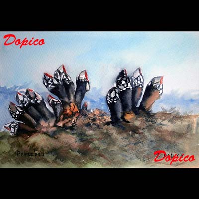 
                                    Técnica: Acuarela.</br>
Referencia: CUADROS0290